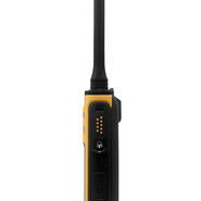 Radiotelefon PMR446 - Hytera AP525LF